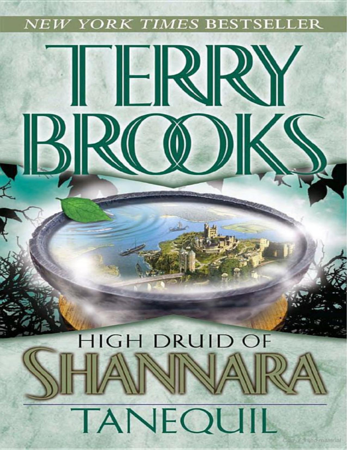 Book 2 Tanequil Terry Brooks