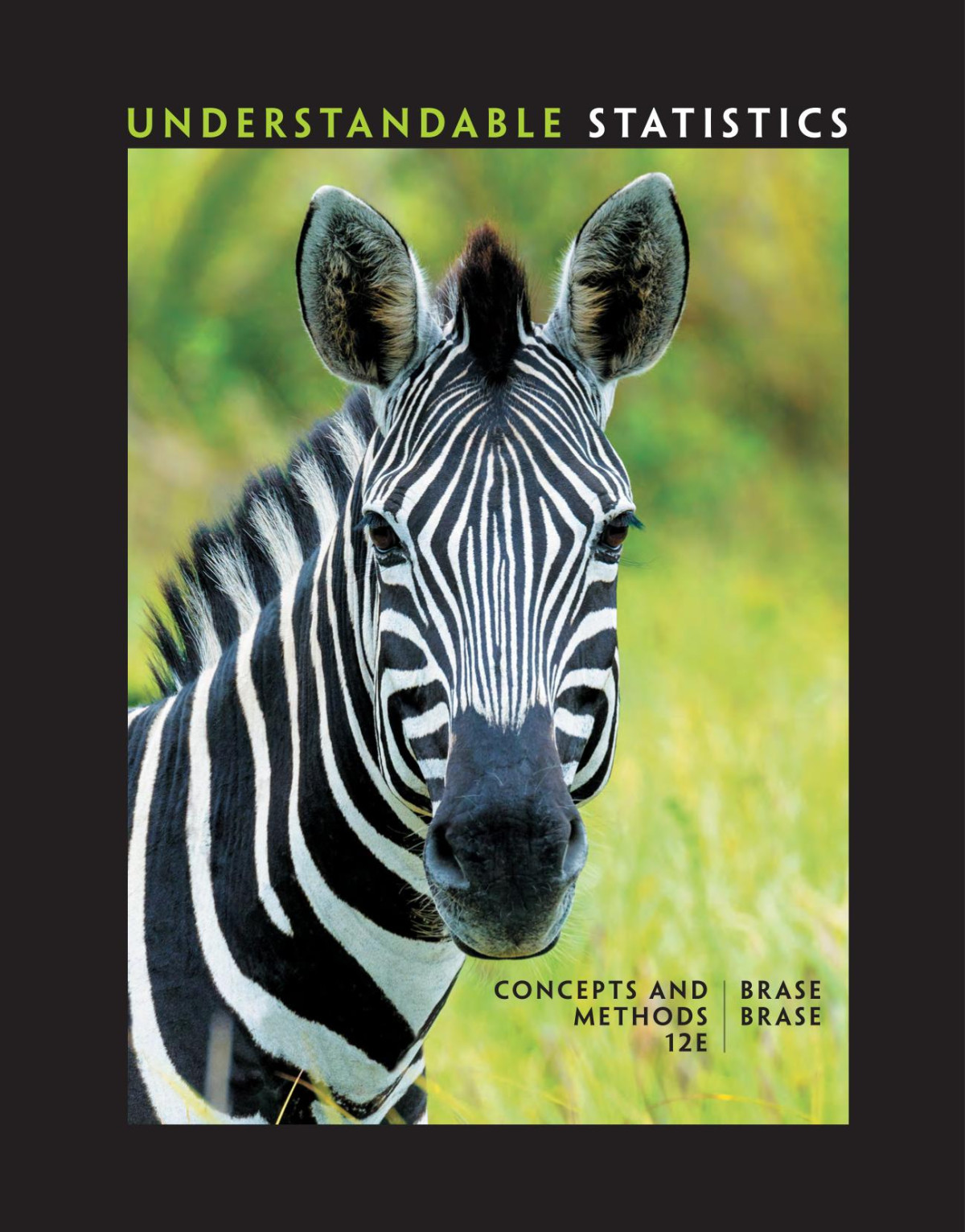 Understandable Statistics 12th Edition Brase Ch Brase Cp