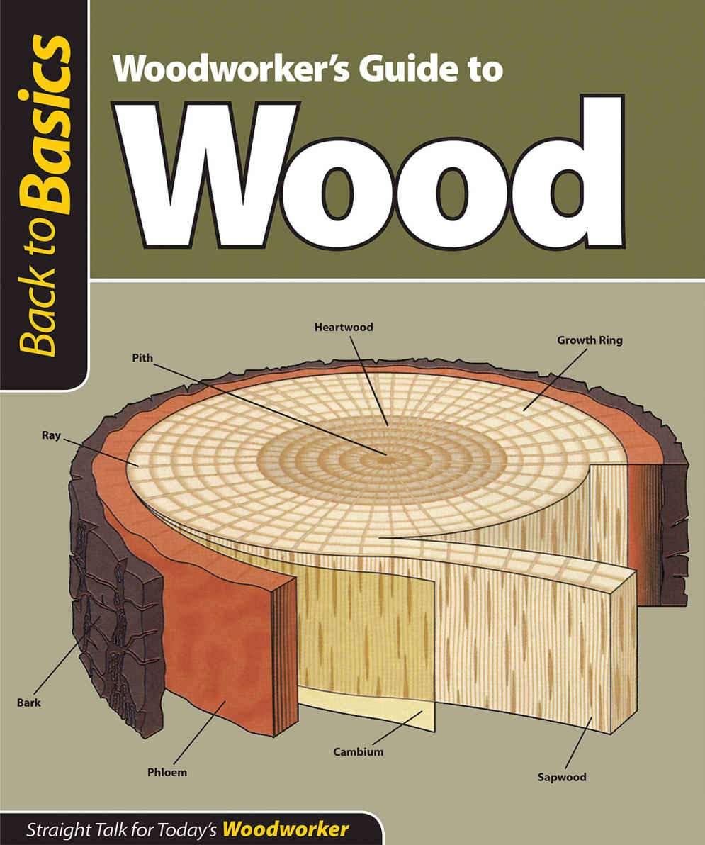 Woodworkers Guide To Wood Straight Talk For Todays Woodworker Back To Basics Skills Institute Press