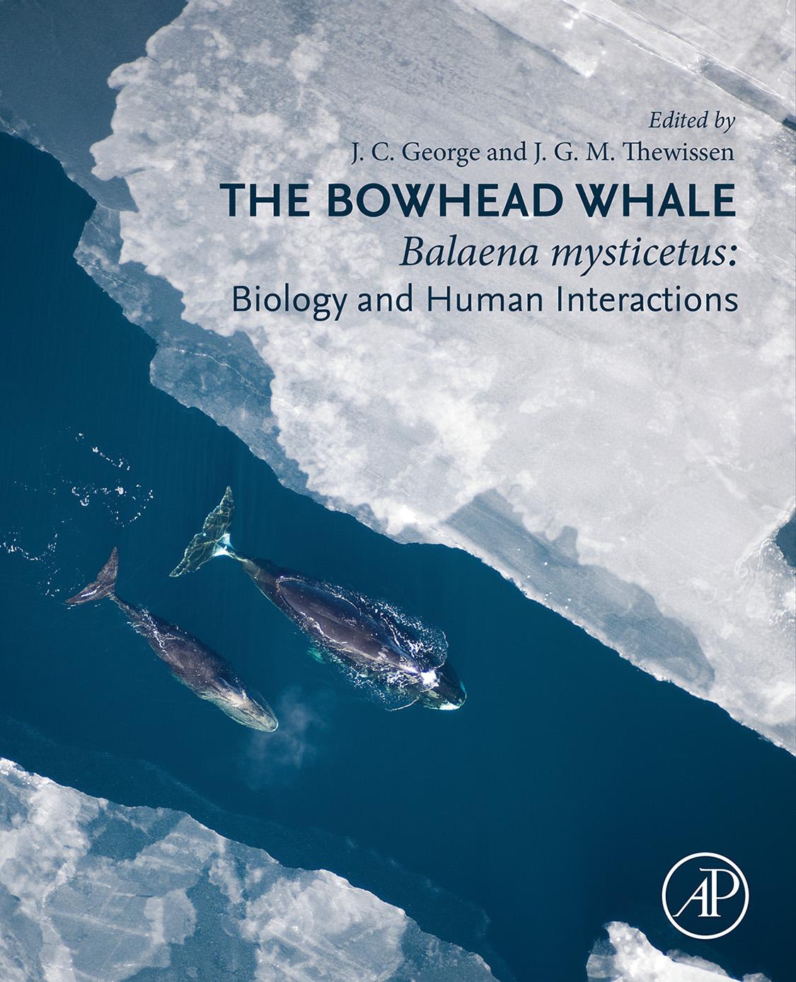 The Bowhead Whale Balaena Mysticetus Biology And Human Interactions 1st Edition Jc George