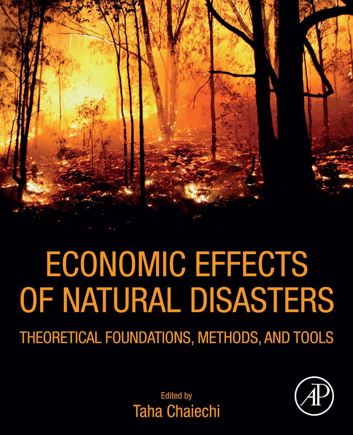 Economic Effects Of Natural Disasters Theoretical Foundations Methods And Tools Taha Chaiechi