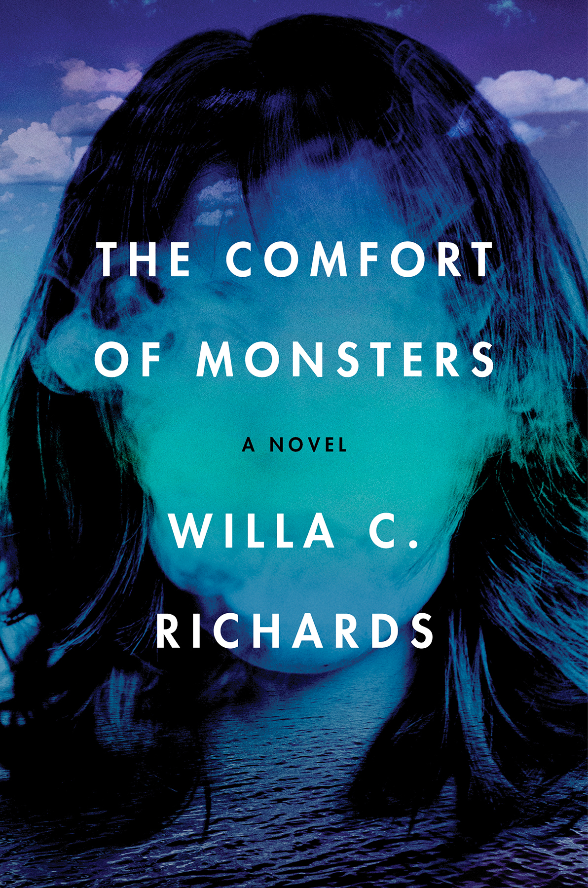 The Comfort Of Monsters Willa C Richards
