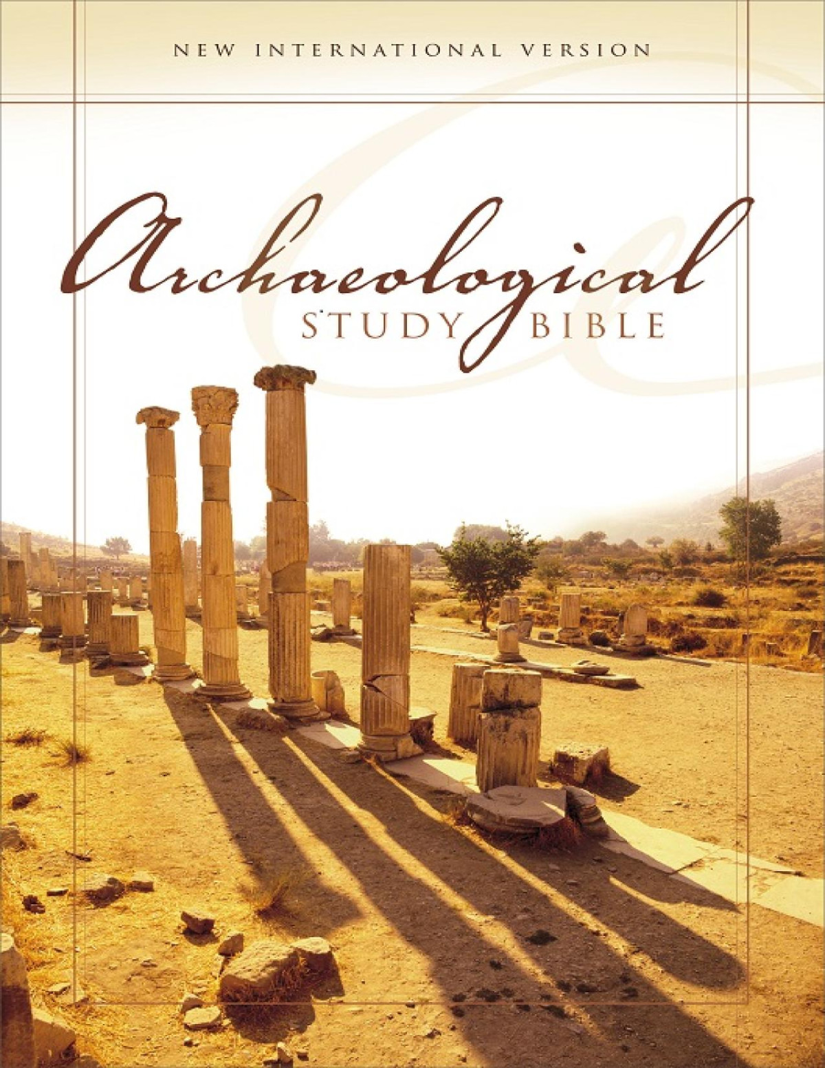 Niv Archaeological Study Bible Zondervan Walter C Kaiser Jr