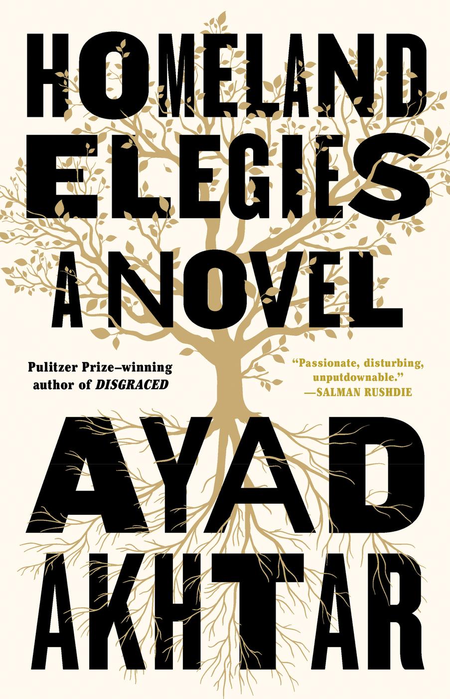 Homeland Elegies A Novel Ayad Akhtar