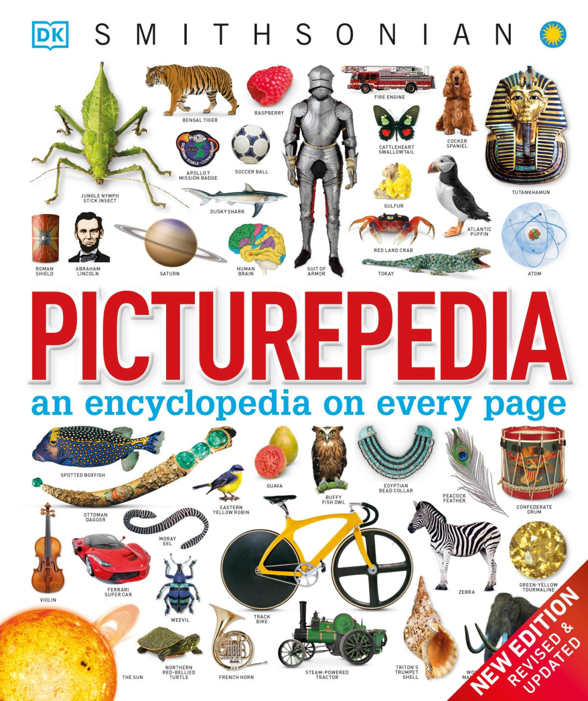 Picturepedia An Encyclopedia On Every Page 2 Ed Revised Rao Rupa Ed