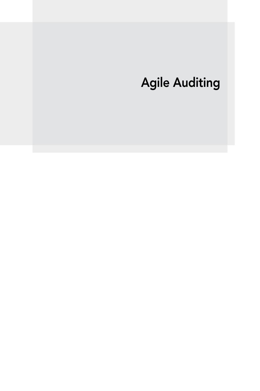 Agile Auditing Fundamentals And Applications Wiley Corporate Fa 1st Edition Raven Catlin