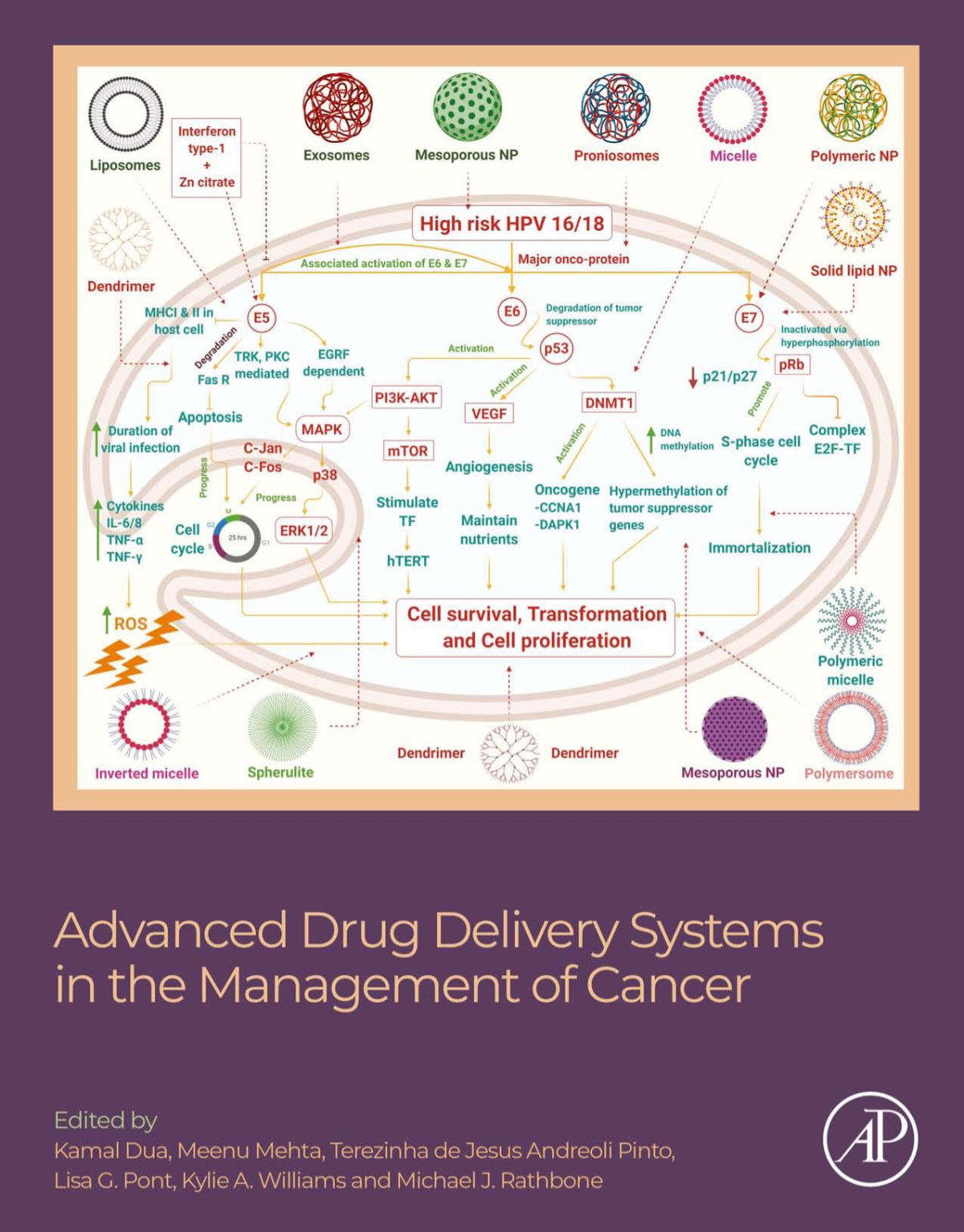 Advanced Drug Delivery Systems In The Management Of Cancer 1st Edition Kamal Dua Phd Editor
