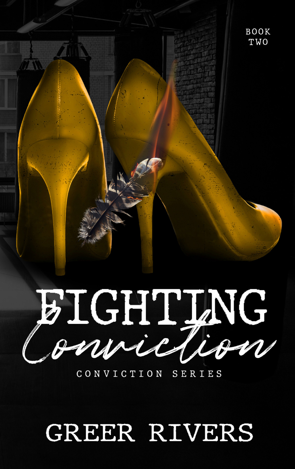 Fighting Conviction A Best Friends Sister Age Gap Romantic Suspense Conviction Series Book 2 Greer Rivers