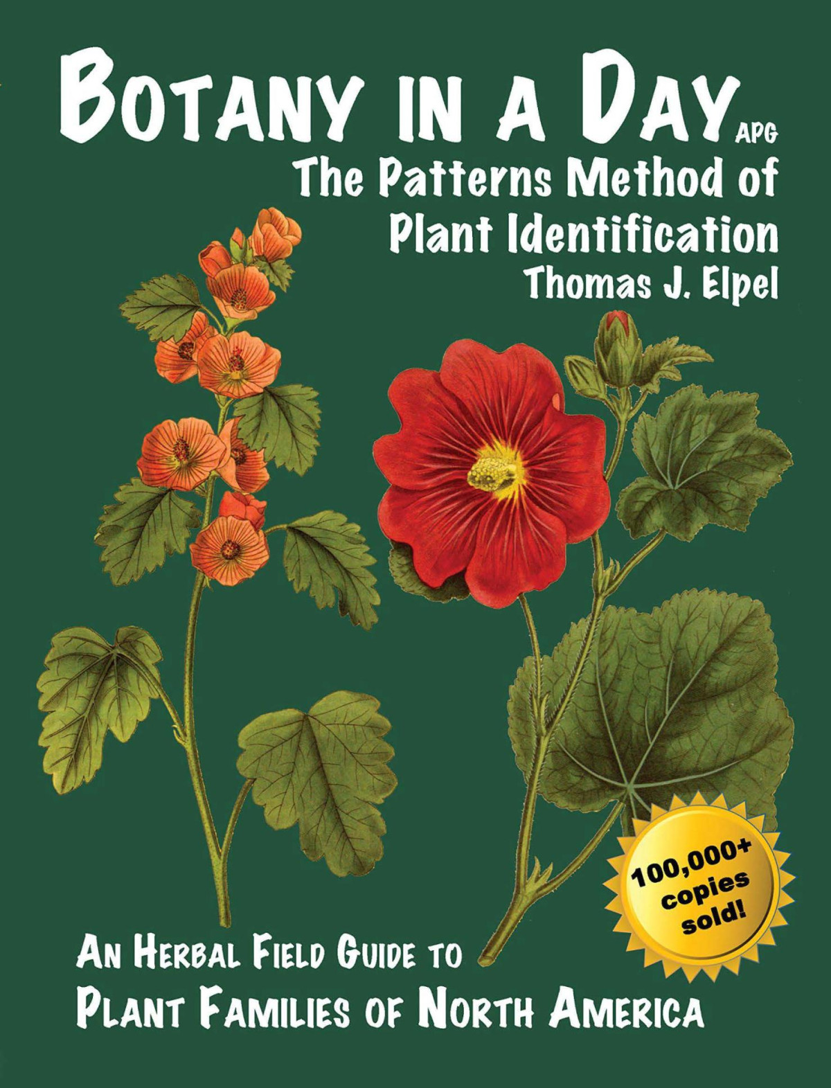 Botany In A Day The Patterns Method Of Plant Identification 6th Edition Thomas J Elpel