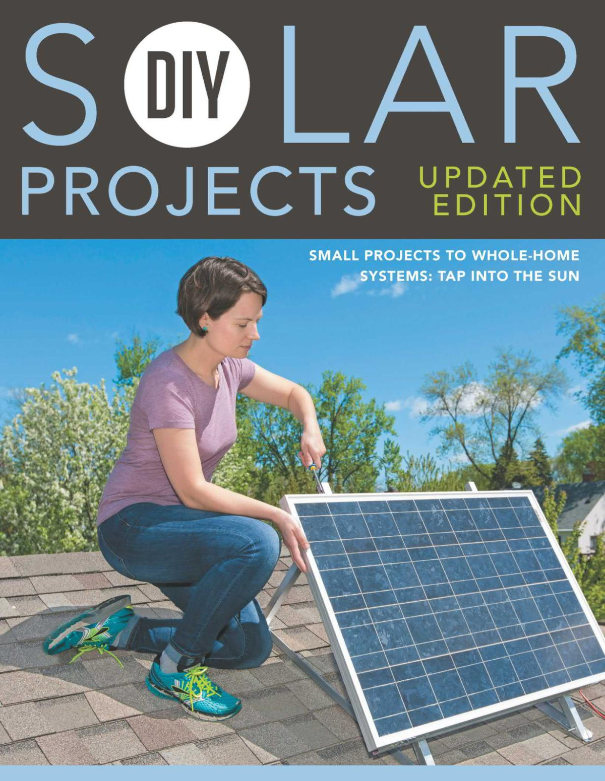Diy Solar Projects Updated Edition Small Projects To Wholehome Systems Tap Into The Sun Illustrated Eric Smith