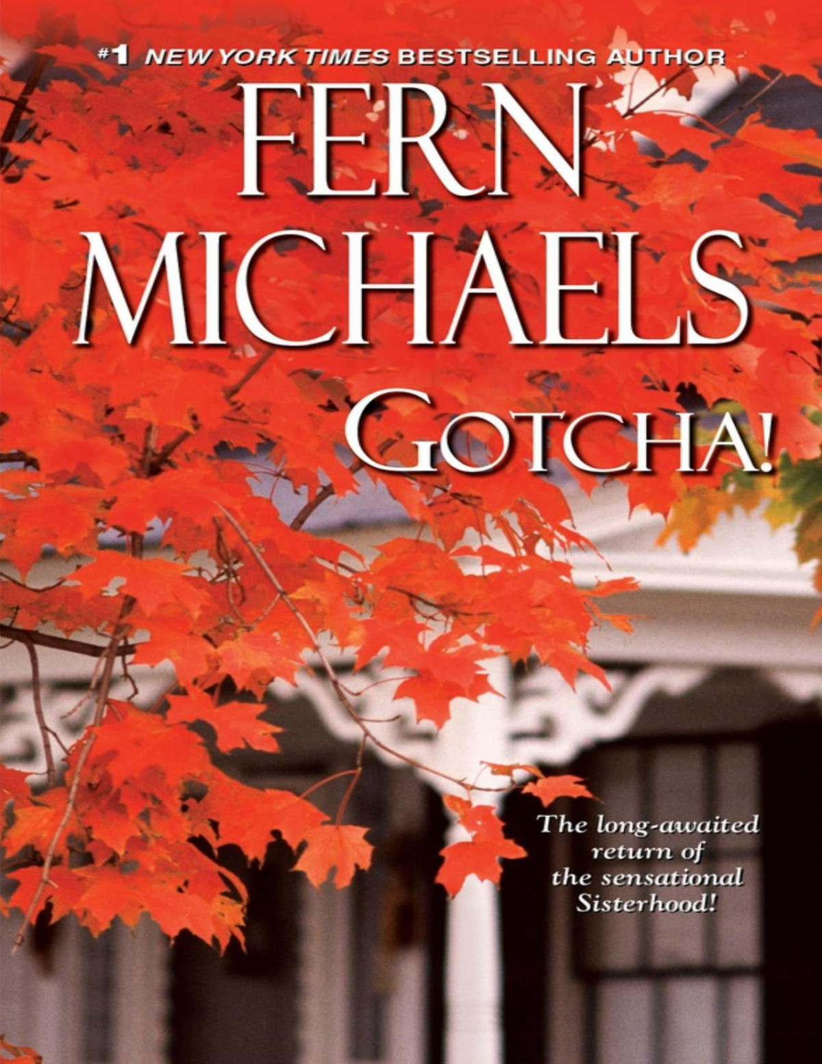 Gotcha Fern Michaels
