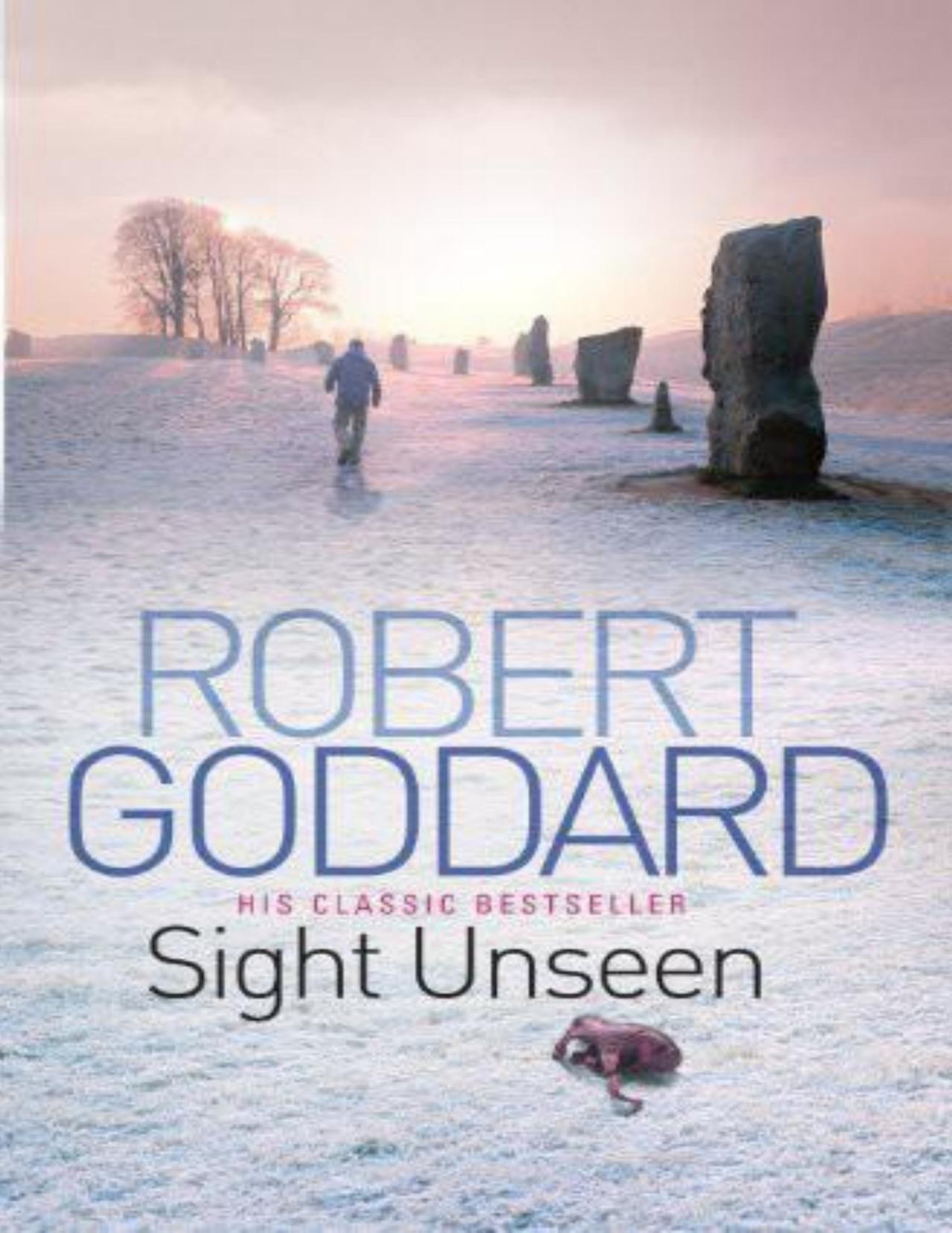 Sight Unseen Robert Goddard