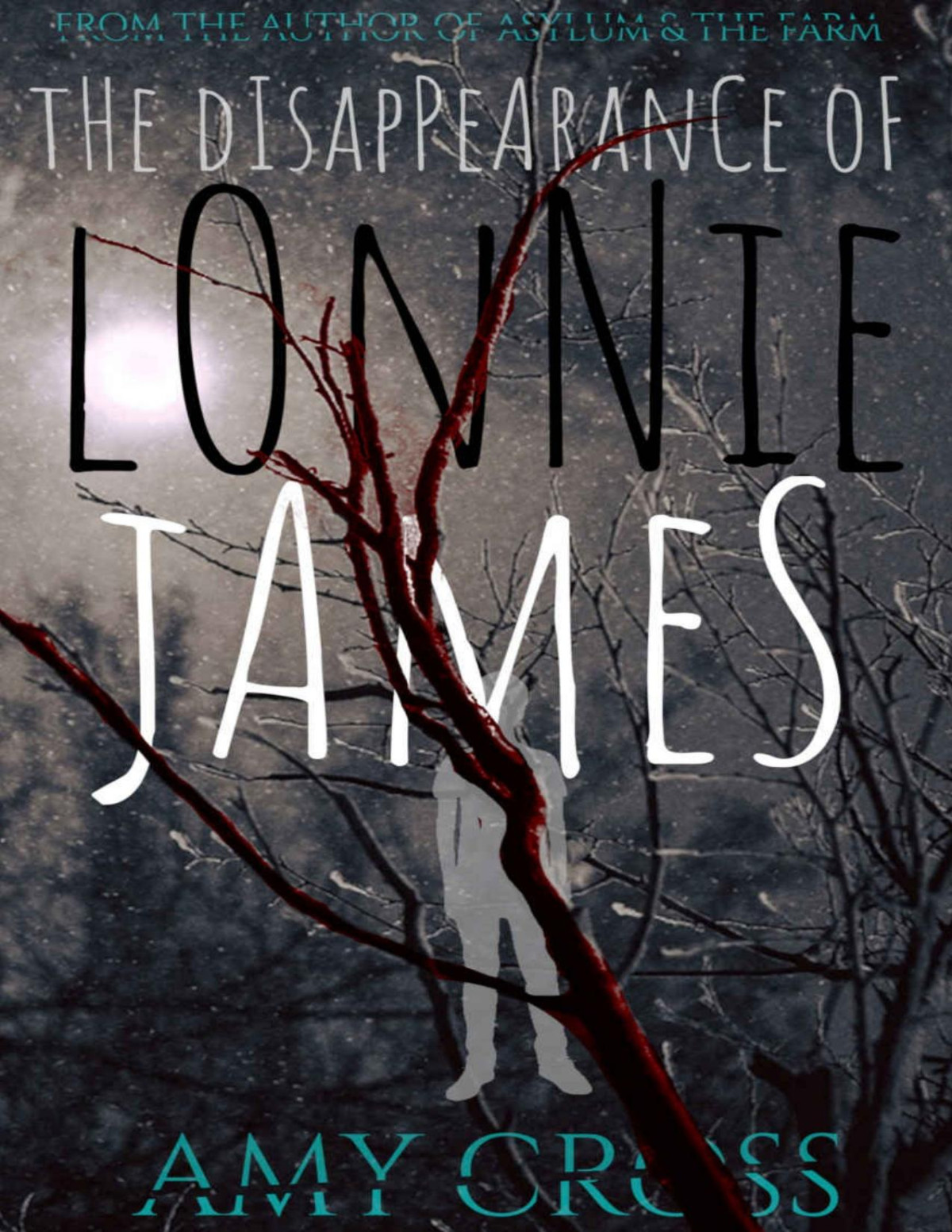 The Disappearance Of Lonnie James Amy Cross