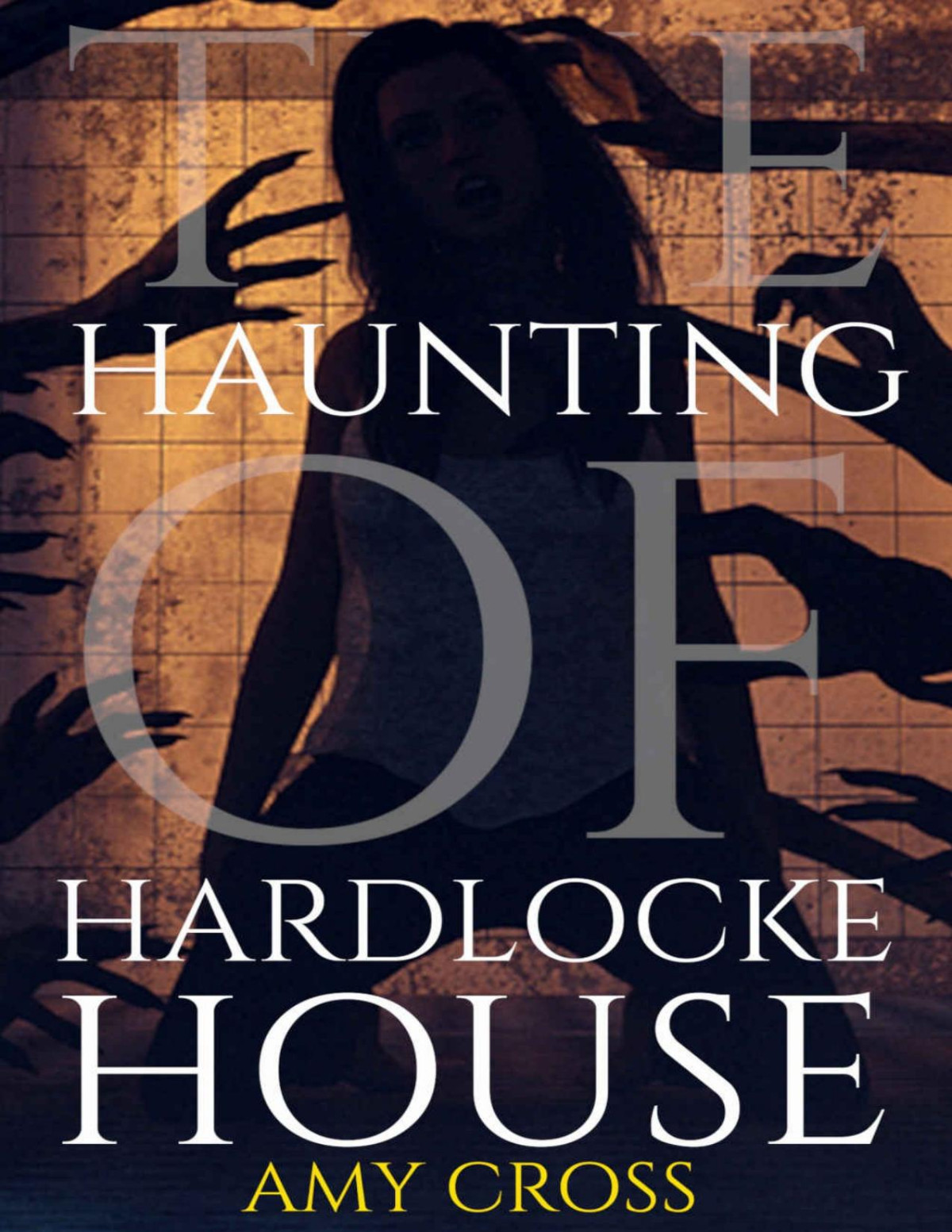 The Haunting Of Hardlocke House Amy Cross