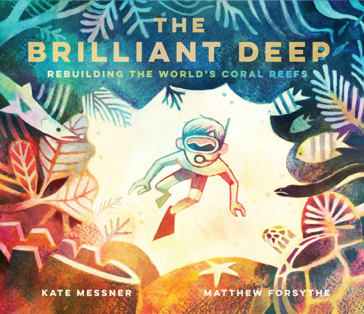 The Brilliant Deep Rebuilding The Worlds Coral Reefs The Story Of Ken Nedimyer And The Coral Restoration Foundation Kate Messner