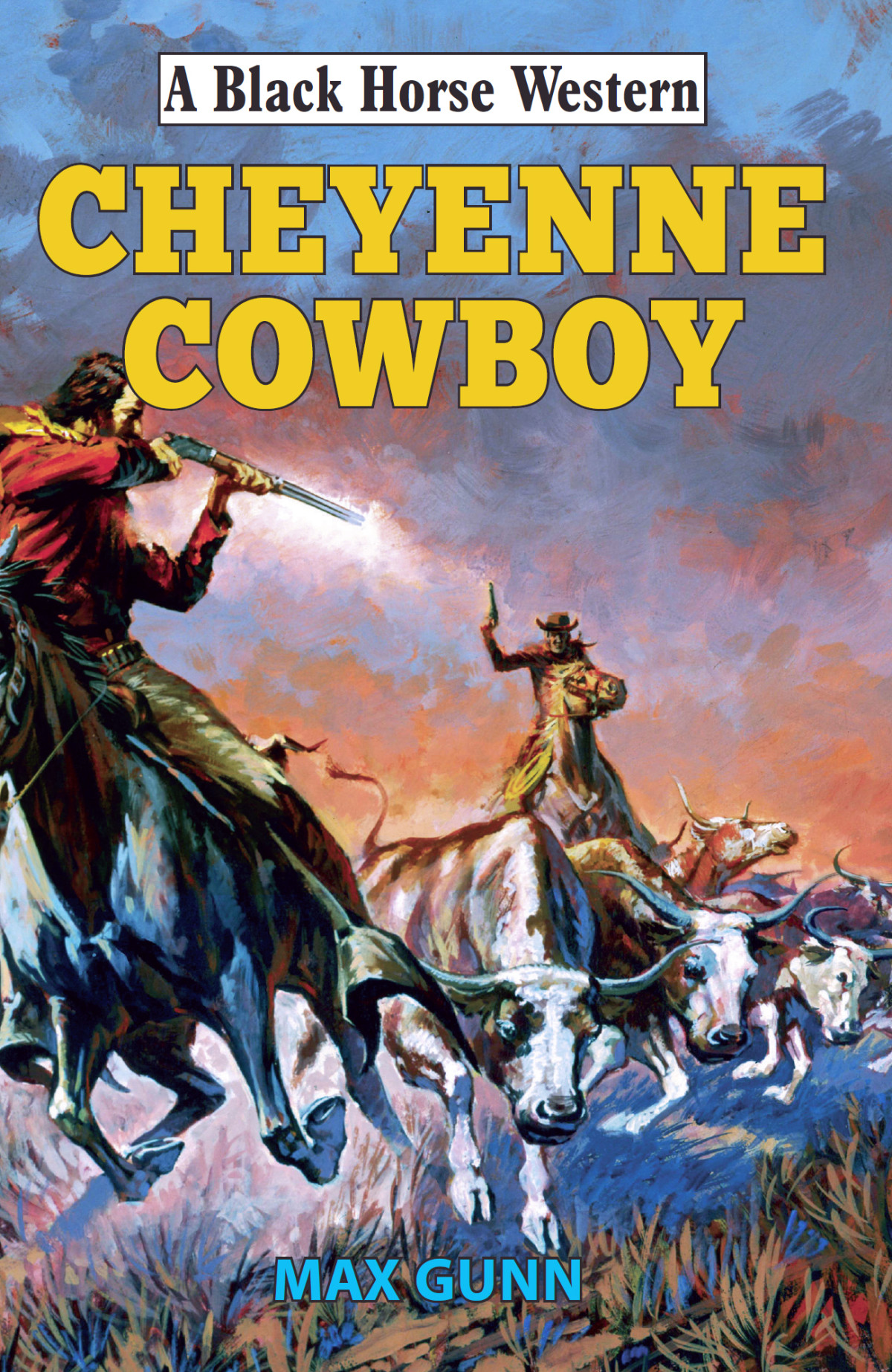 The Cheyenne Cowboy Max Gunn