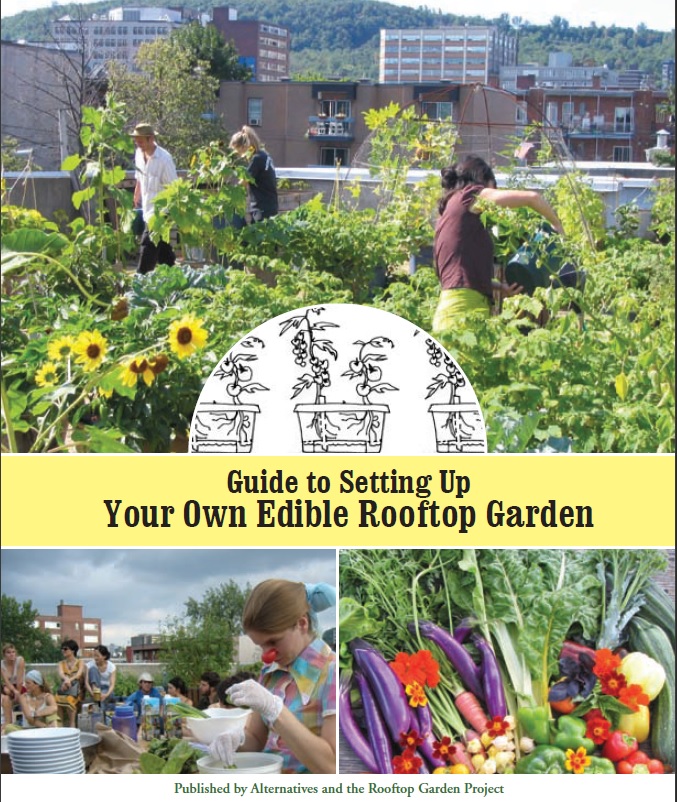 Guide To Setting Up Your Own Edible Rooftop Garden Ismal Hautecoeur