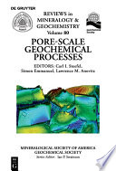 Porescale Geochemical Processes 1st Edition Carl I Steefel