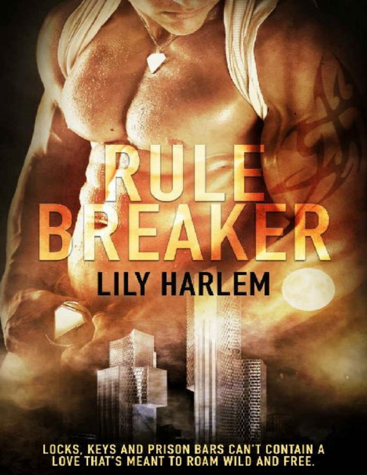 Rule Breaker Forbidden Love Romance Lily Harlem
