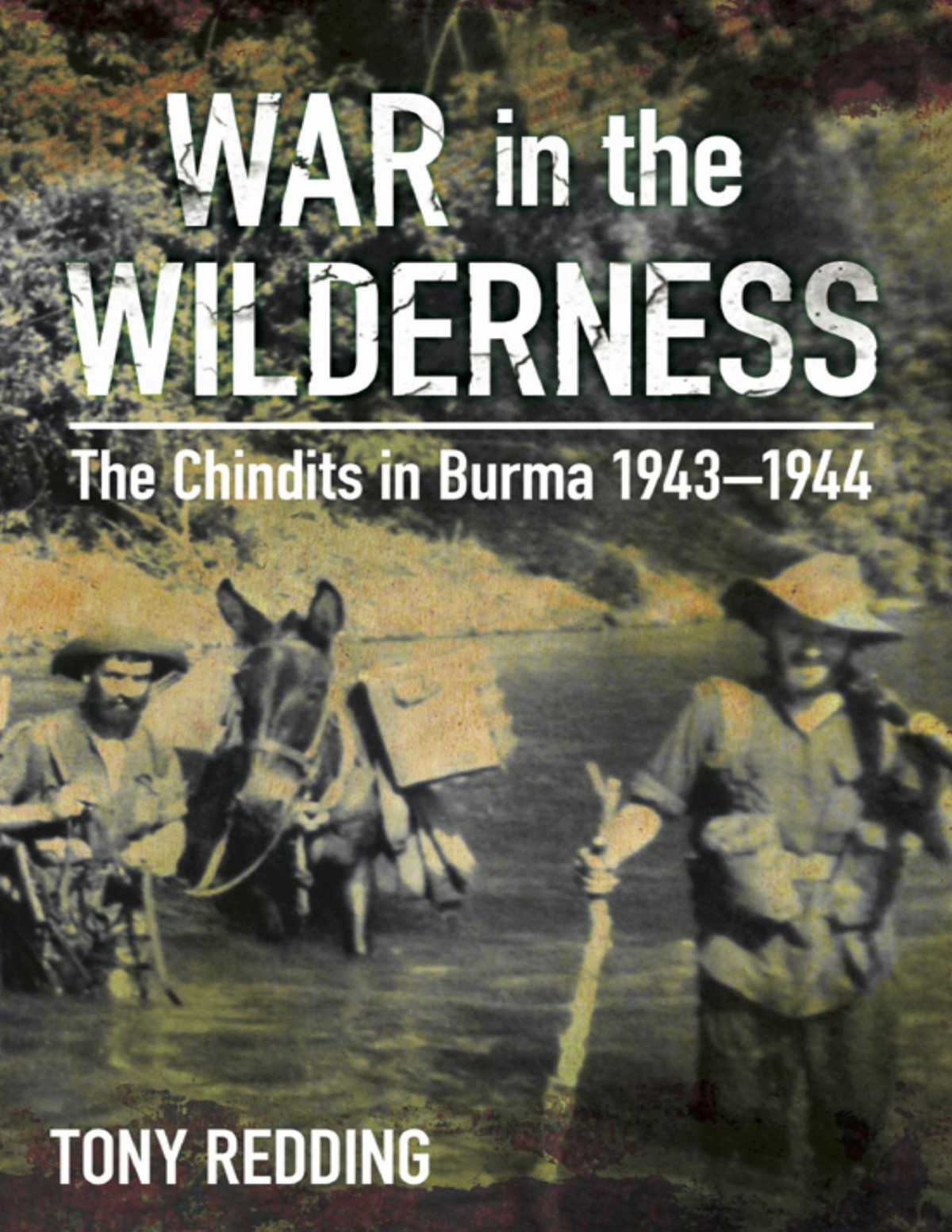 War In The Wilderness Tony Redding