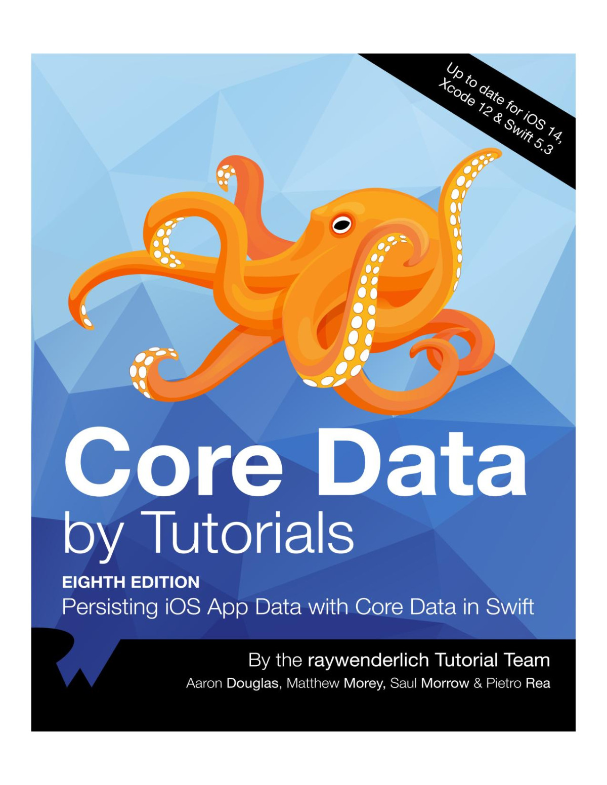 Core Data By Tutorials Aaron Douglas Matthew Morey And Pietro Rea