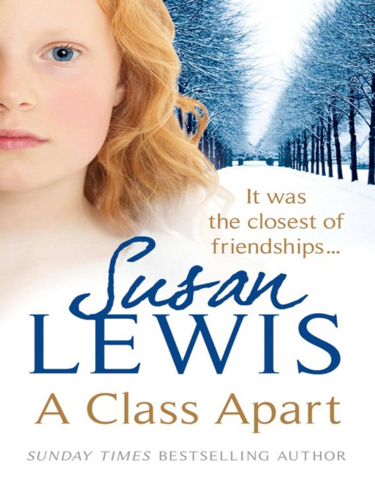 A Class Apart Susan Lewis