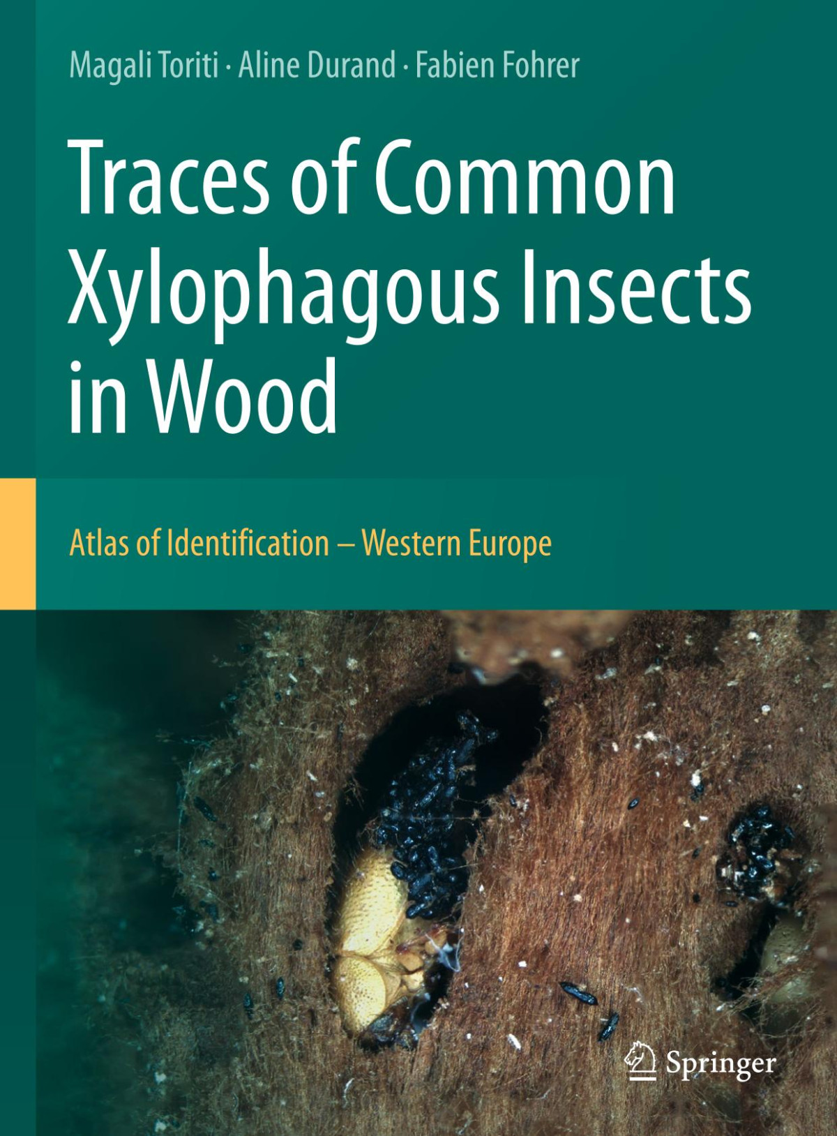 Traces Of Common Xylophagous Insects In Wood Atlas Of Identification Western Europe Magali Toriti Aline Durand Fabien Fohrer