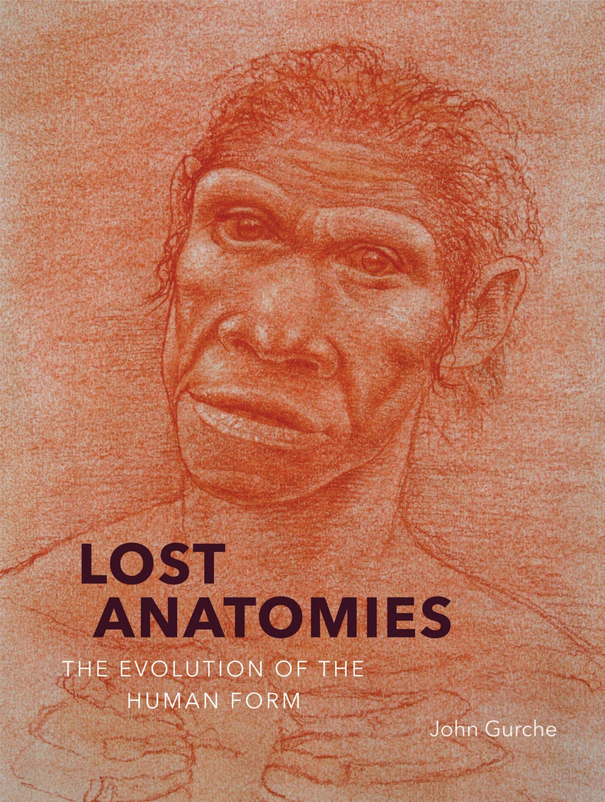 Lost Anatomies The Evolution Of The Human Form Gurche John
