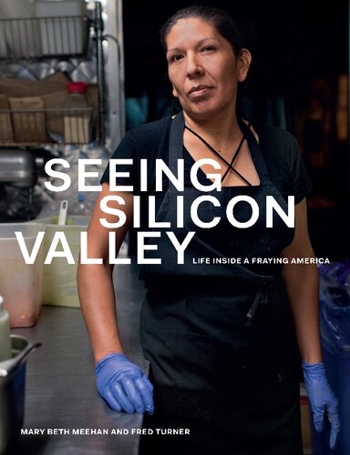 Seeing Silicon Valley Life Inside A Fraying America 1st Edition Mary Beth Meehan