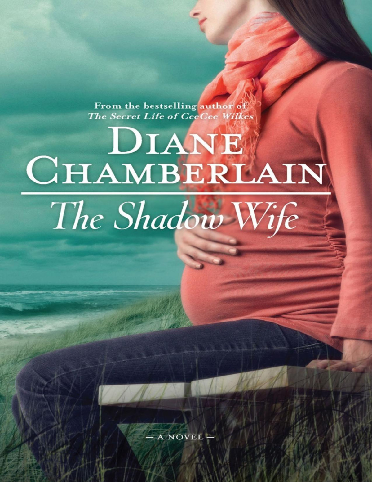 The Shadow Wife Diane Chamberlain