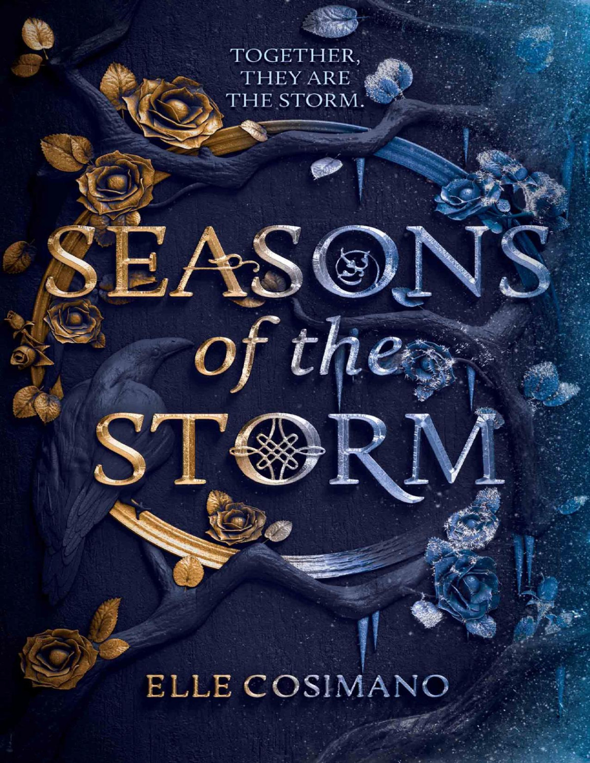 Seasons Of The Storm Elle Cosimano