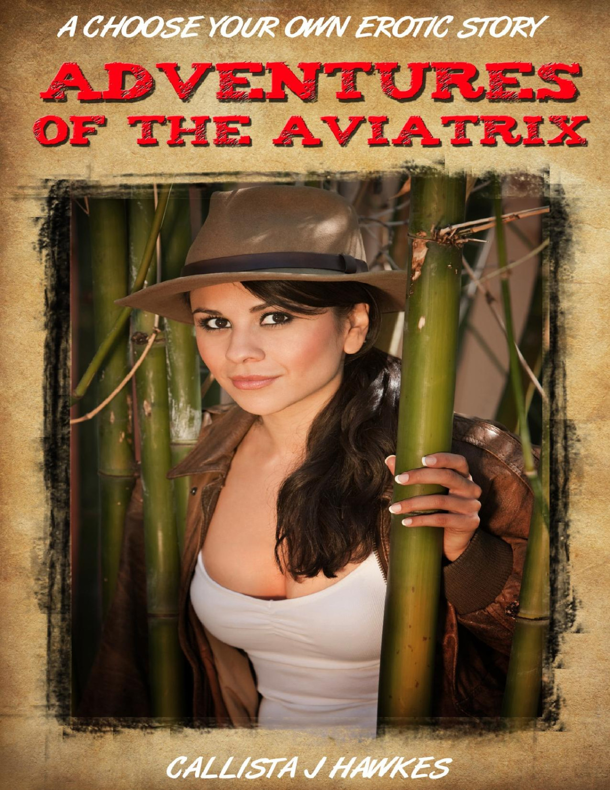 Adventures Of The Aviatrix A Choose Your Own Erotic Story Hawkes