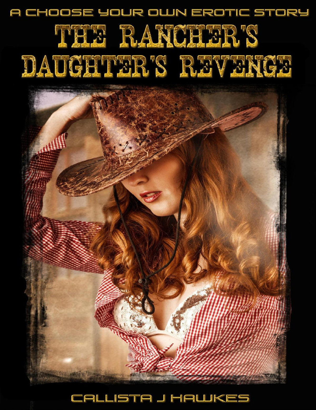 The Ranchers Daughters Revenge A Choose Your Own Erotic Story Hawkes