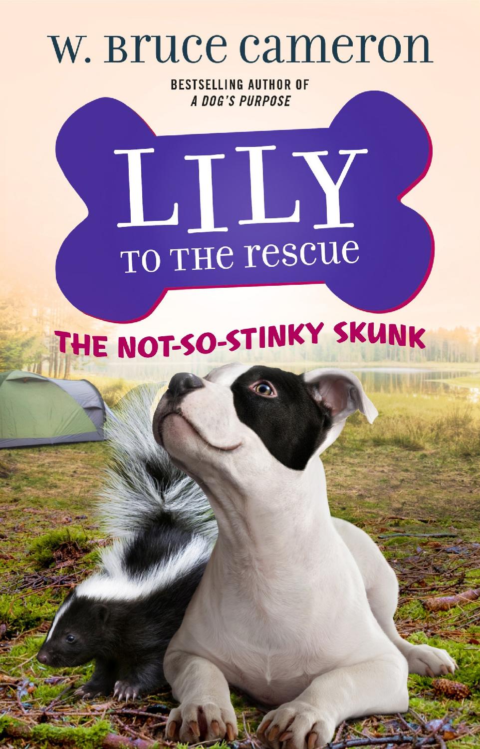 Lily To The Rescue 03 The Notsostinky Skunk W Bruce Cameron