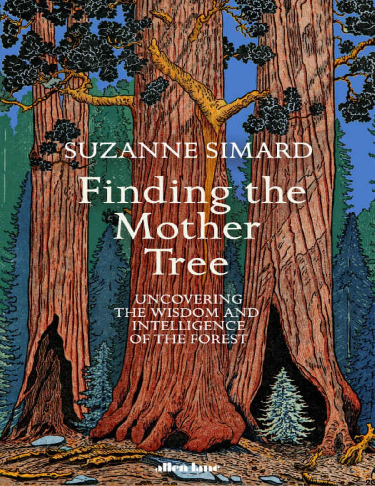 Finding The Mother Tree Uncovering The Wisdom And Intelligence Of The Forest 1st Edition Suzanne Simard