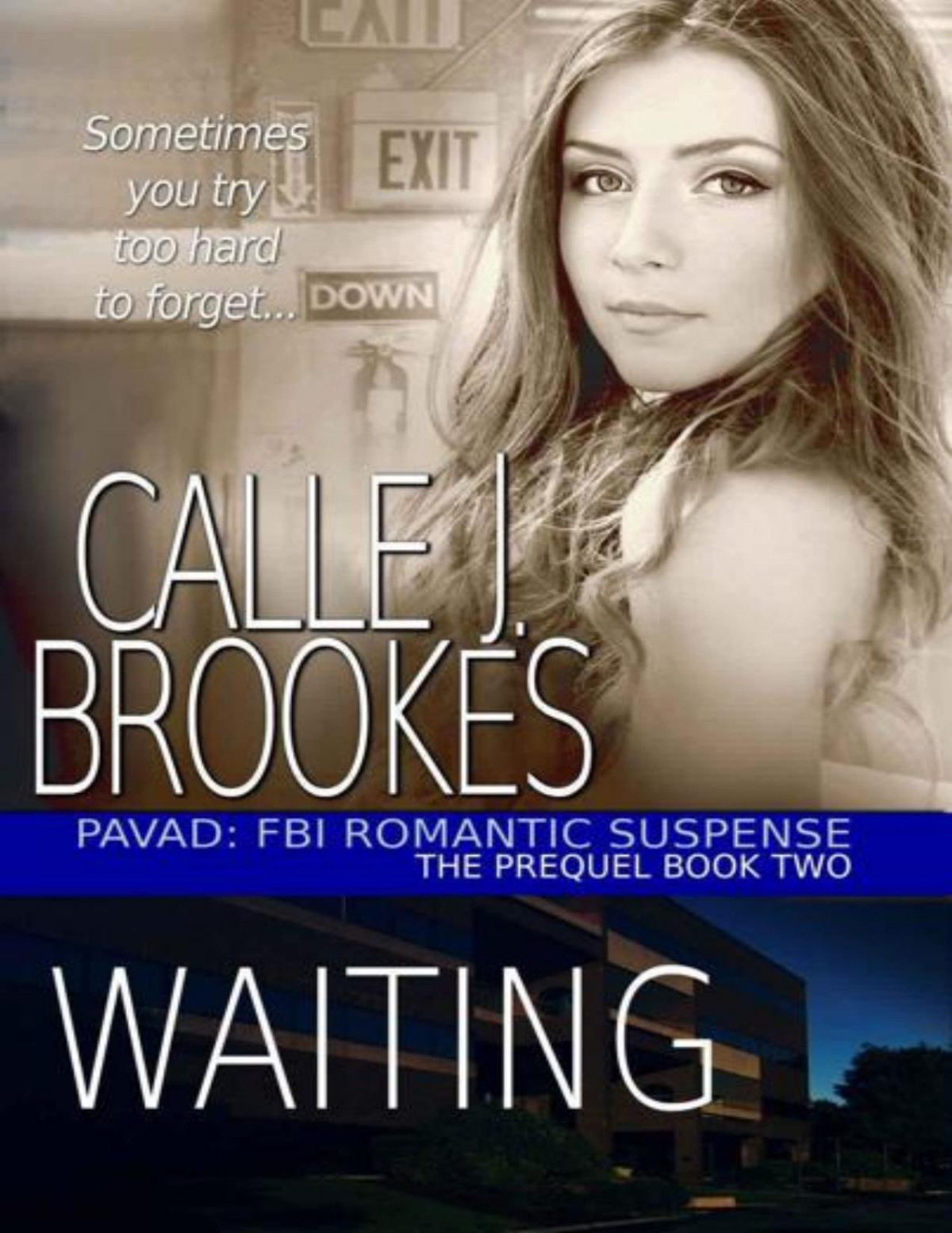 Waiting A Pavad Fbi Prequel Pavad Fbi Romantic Suspense Book 2 Calle J Brookes