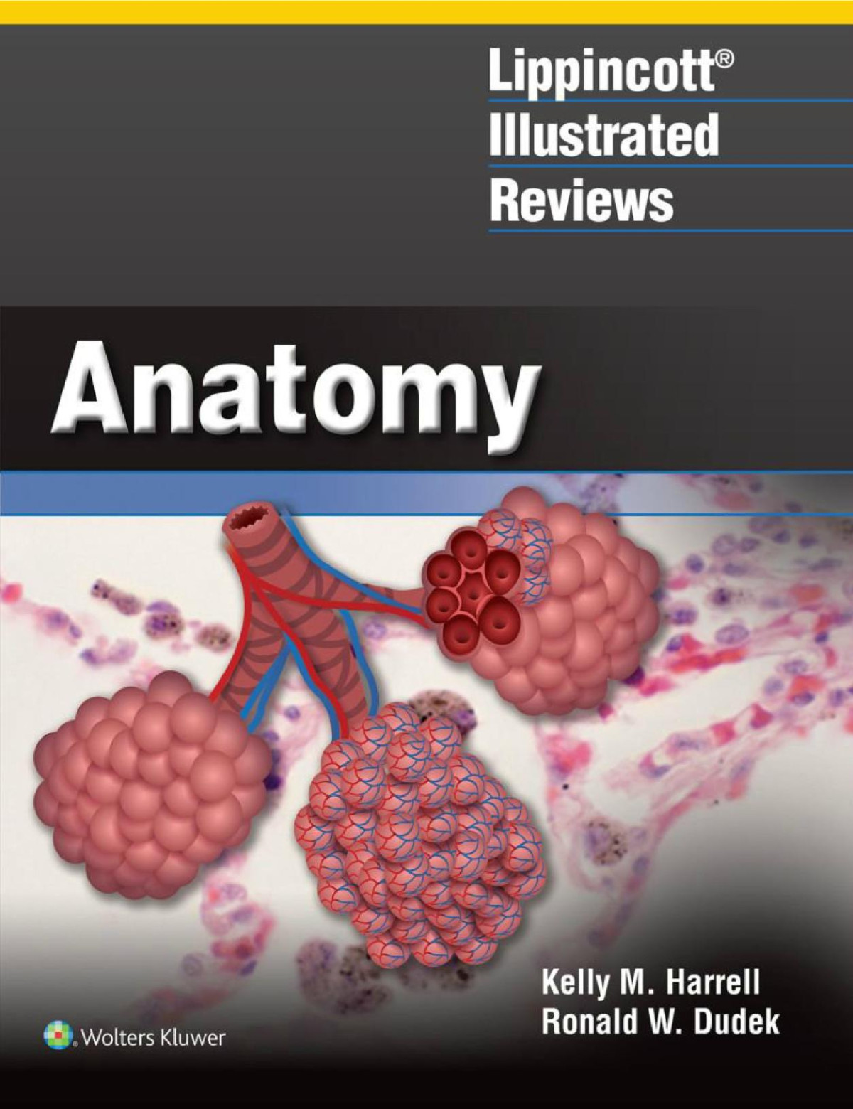 Lippincott Illustrated Reviews Anatomy Kelly M Harrell Ronald Dudek