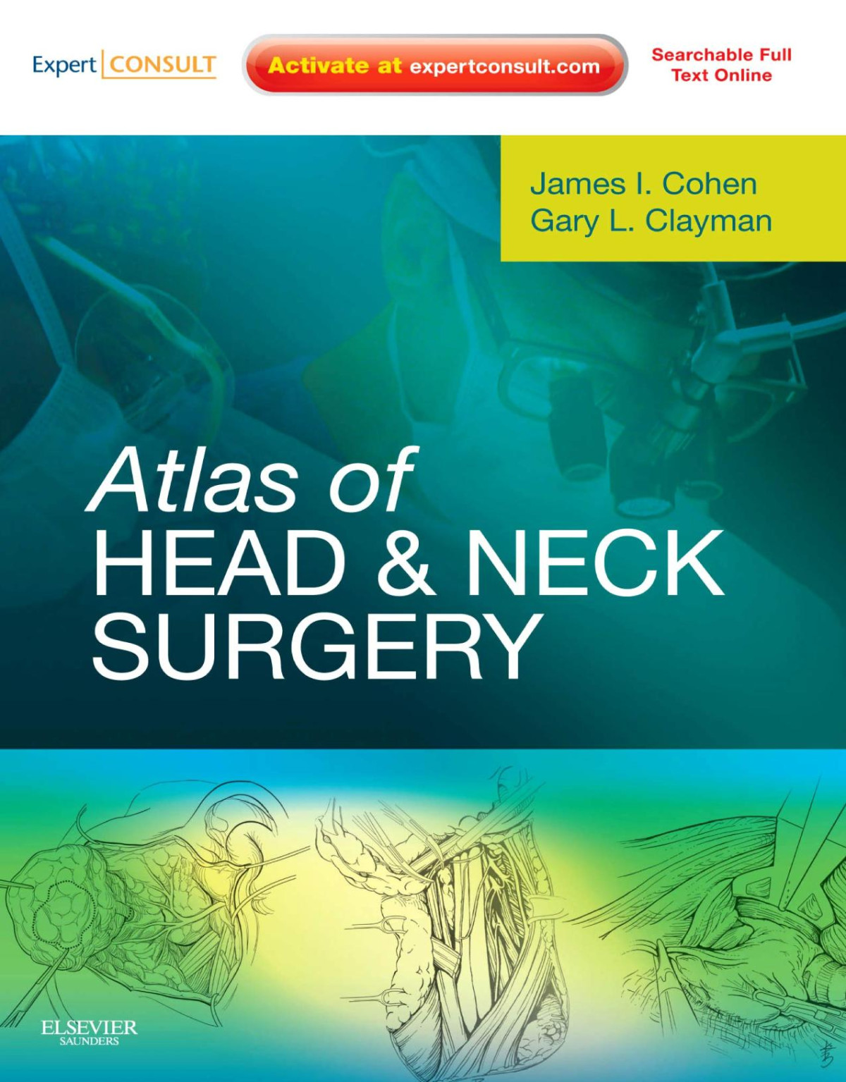 Atlas Of Head Neck Surgery James I Cohen Gary L Clayman