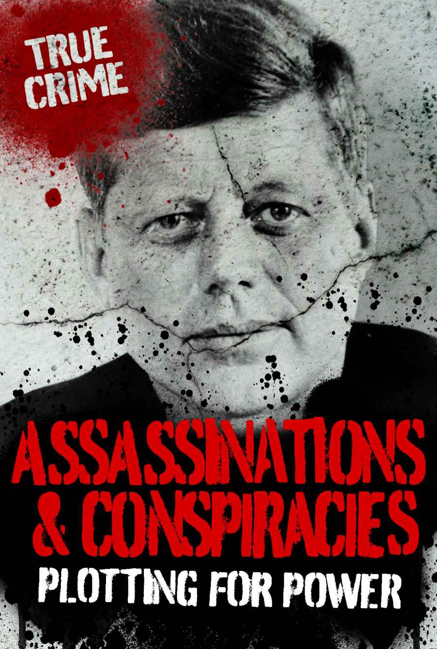 Assassinations And Conspiracies True Crime Rodney Castleden