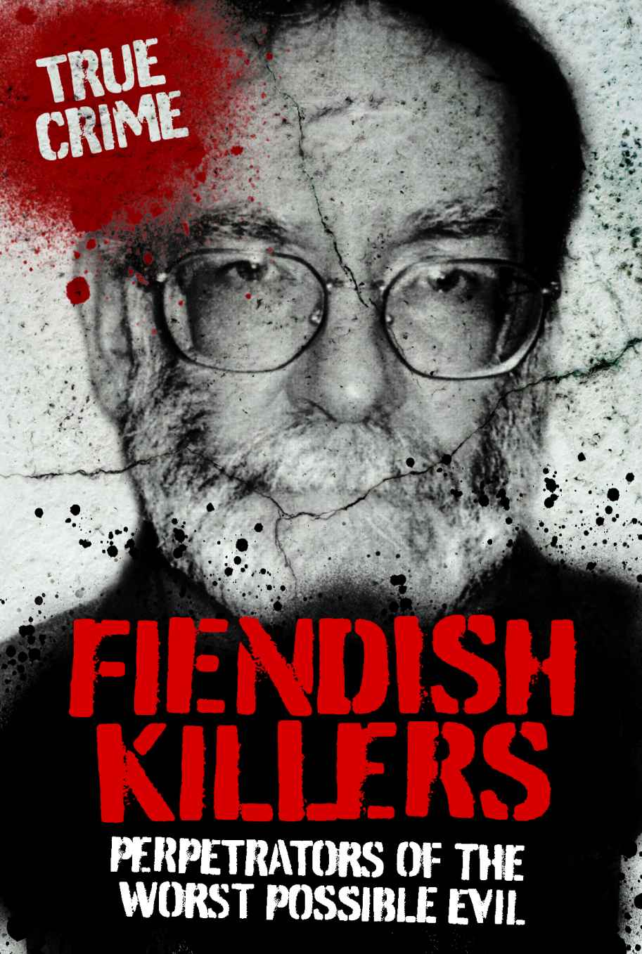 Fiendish Killers True Crime Anne Williams Vivian Head Amy Williams
