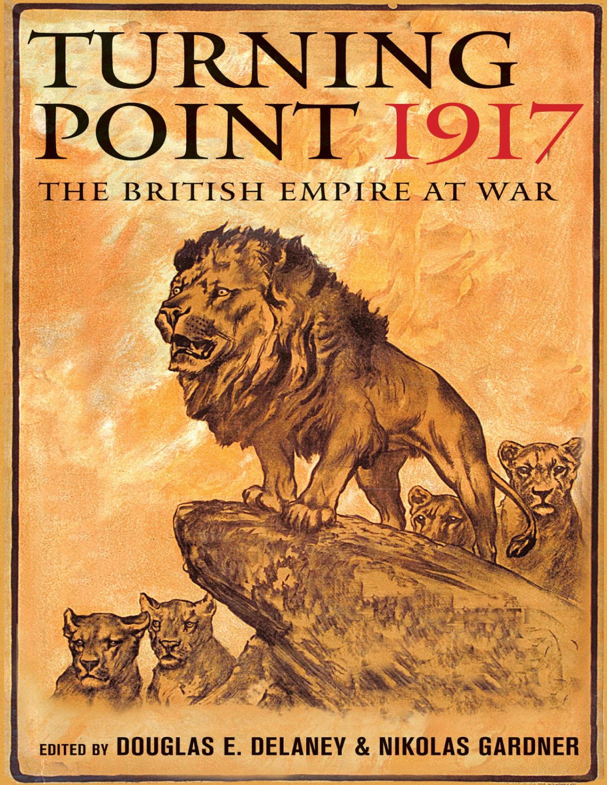 Turning Point 1917 The British Empire At War Edited By Douglas E Delaney Nikolas Gardner