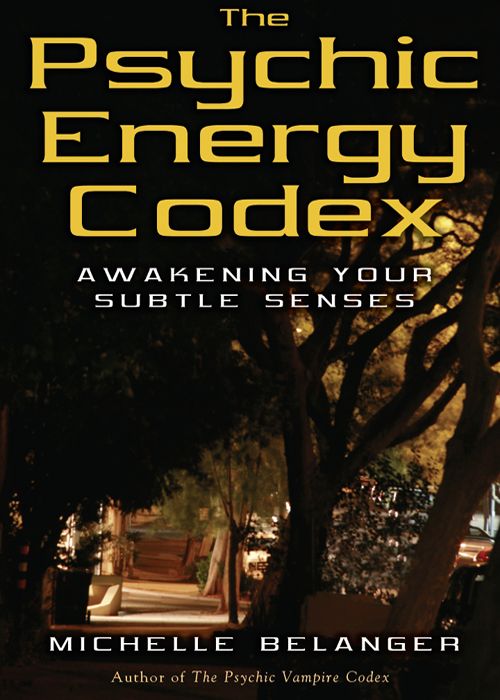 The Psychic Energy Codex Awakening Your Subtle Senses Michelle A Belanger
