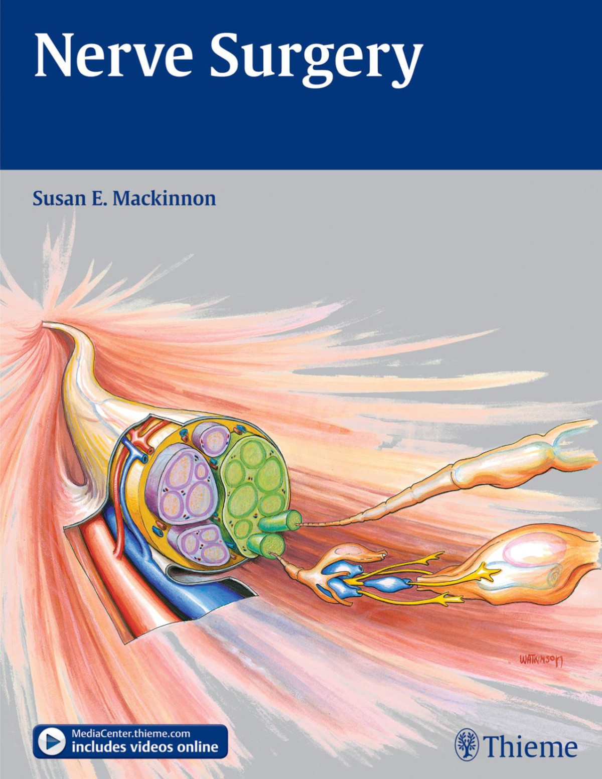 Nerve Surgery Susan E Mackinnon