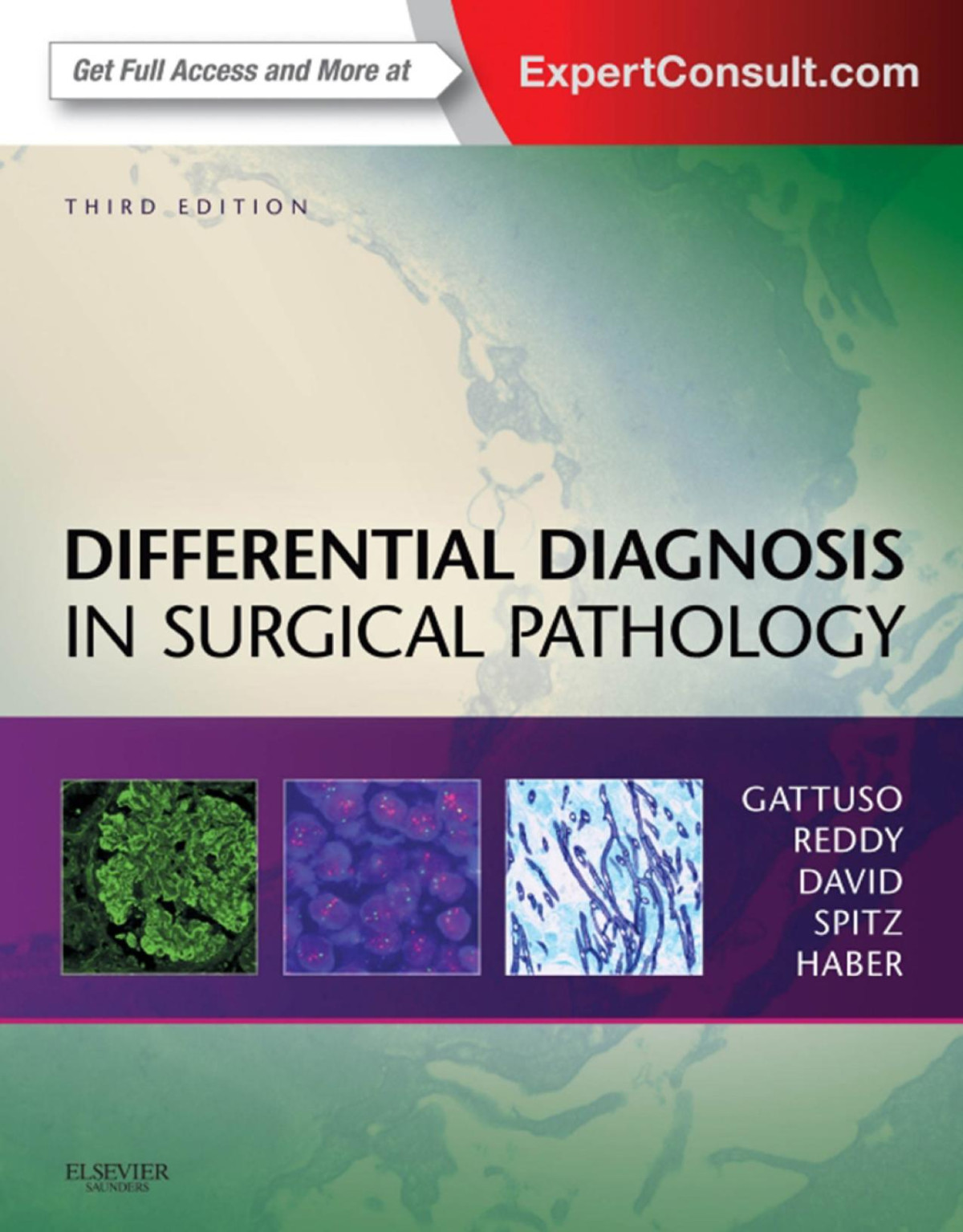 Differential Diagnosis In Surgical Pathology 3rd Edition Paolo Gattuso