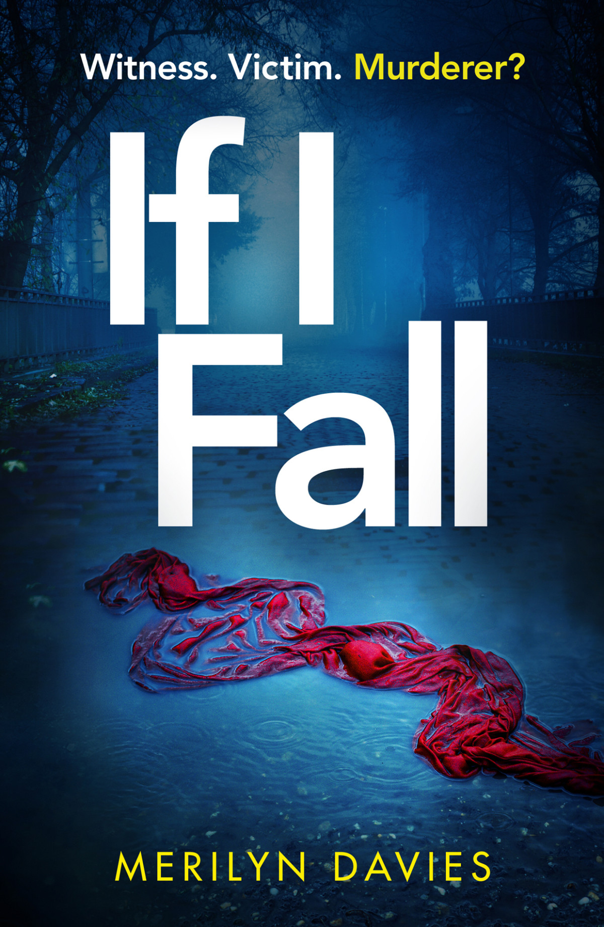If I Fall Merilyn Davies