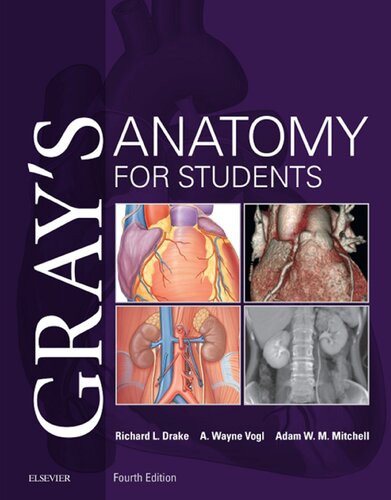Grays Anatomy For Students 4th Edition 4th Edition Richard Drake