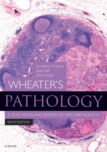 Wheaters Pathology A Text Atlas And Review Of Histopathology 6th Edition Geraldine Odowd