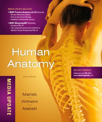 Human Anatomy 6th Edition Elaine N Marieb Patricia Brady Wilhelm