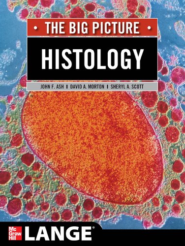 The Big Picture Histology John Ash