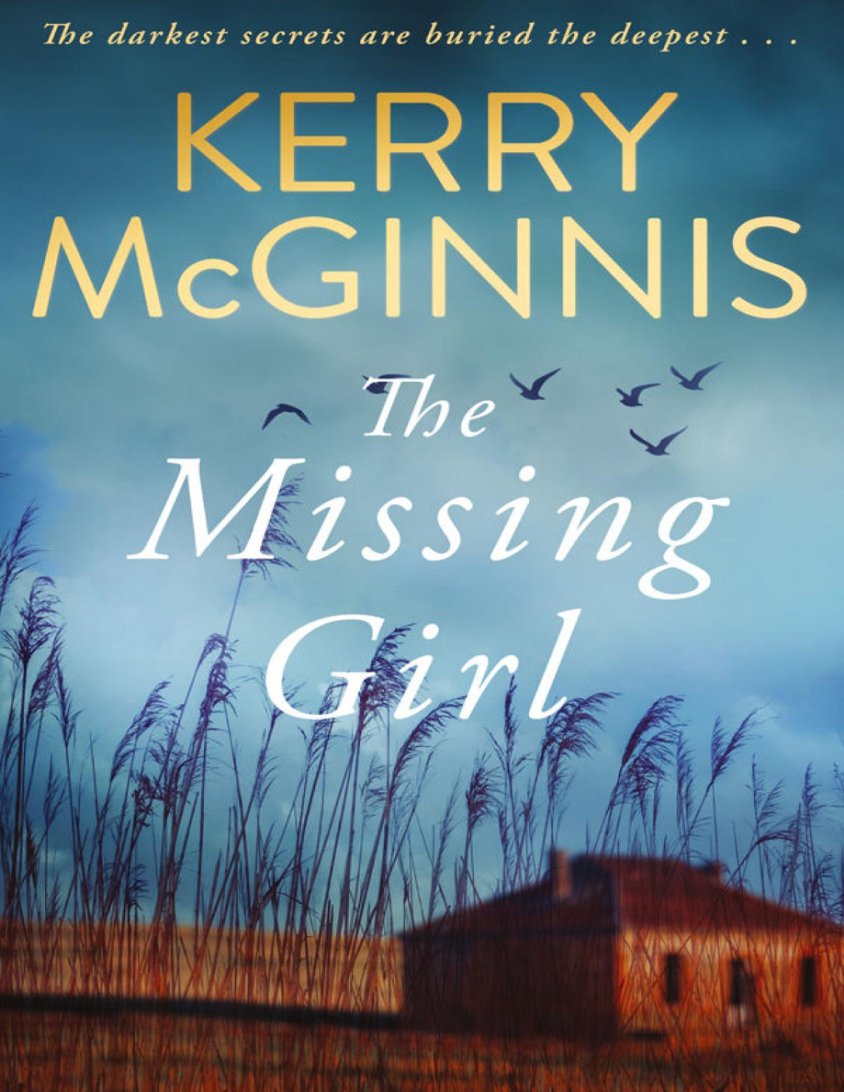 The Missing Girl Kerry Mcginnis